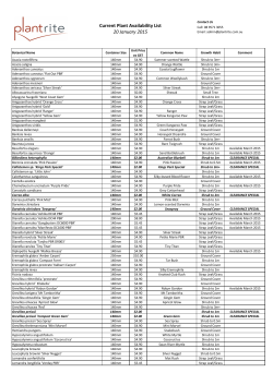 Current Stock Availability PDF