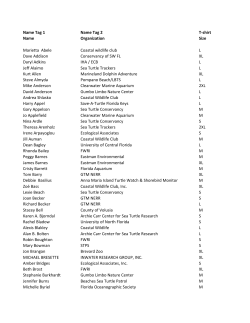 Attendees