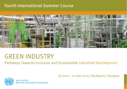 GREEN INDUSTRY - UNIDO Institute for Capacity Development