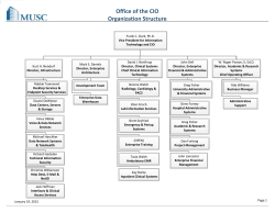 Office of the CIO Organization Structure