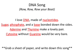 DNA Song (Row, Row, Row your Boat)