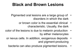 Black_and_Brown_Lesions
