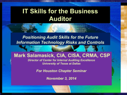 IT Skills for the Business Auditor Presentation