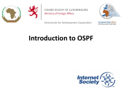 OSPF Introduction - African Union Pages