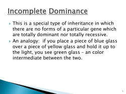 14-Incomplete Dominance and Codominance