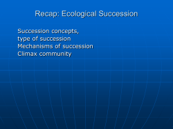 PPT Slide - Tennessee State University