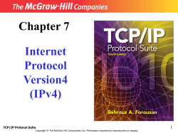 Internet Protocol Version 4 (IPv4)