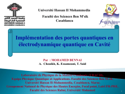 Qubits - Research school Meknes 2014