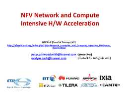 NFV Network and Compute Intensive H/W Acceleration