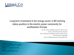 Long-term investment in the energy sector in BH working status