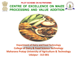 centre of excellence on maize processing and value