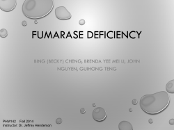 Fumarase Deficiency