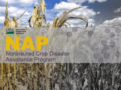 Non-Insured Crop Disaster Assistance Program