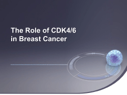 What Is ER+ Breast Cancer? - The Science of Targeting CDK4/6