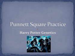 Punnett Square Practice (Harry Potter Genetics)