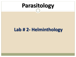 Parasitology lab 2