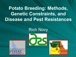 2014 Potato Science Lect 19 – Breeding