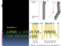 LEMAK : Struktur, Fungsi dan Metabolisme
