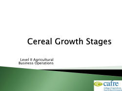 Crop Production Week 6 Cereal Growth Stages4.41Mb