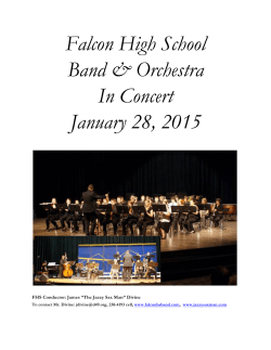 Concert Program January 28 - Falcon HS Band and Orchestra