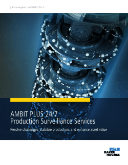 AMBIT PLUS 24/7 Production Surveillance Services