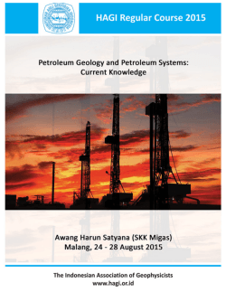 Petroleum Geology and Petroleum Systems: Current