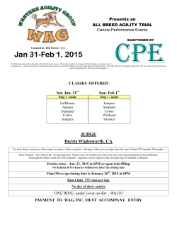 WAG Jan 31-Feb 1 CPE Premium