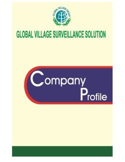 business profile - Global Village Group