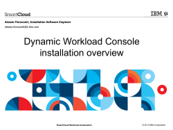 Dynamic Workload Console