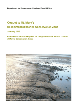 Coquet to St. Mary's rMCZ site summary
