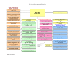 Org Chart
