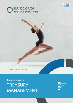 FinanceSuite Treasury Management