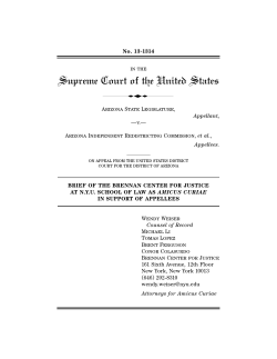 Brennan Center for Justice in Support of Appellees