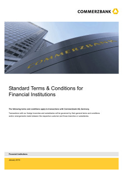 Standard Terms & Conditions for Financial Institutions