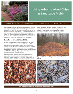 Using Arborist Wood Chips as Landscape Mulch