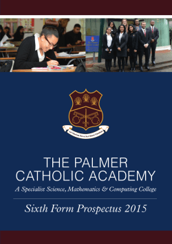 THE PALMER CATHOLIC ACADEMY