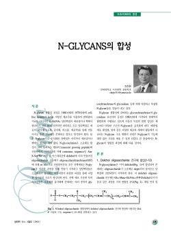 N-GLYCANS의 합성