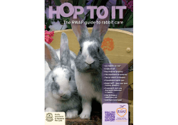Hop To It - Rabbit Welfare Association