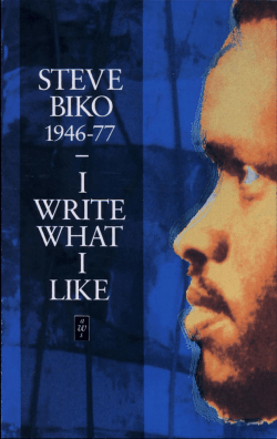 I Write What I Like (African Writers)