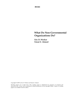 What Do Non-Governmental Organizations Do?