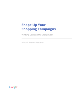 Shape Up Your Shopping Campaigns