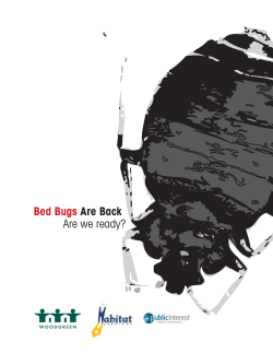 Bed Bugs Are Back Are we ready?