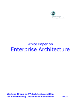 White Paper on IT Architecture