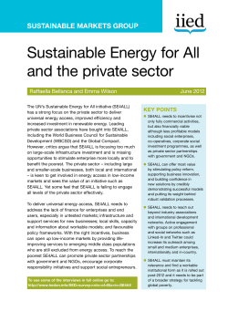 Sustainable Energy for All and the private sector