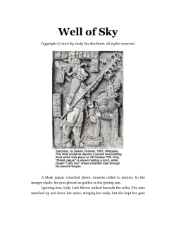 Well of Sky - Joely Sue Burkhart
