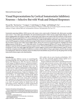 Visual Representations by Cortical Somatostatin Inhibitory Neurons