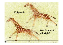 Epigenetic Was Lamarck still right? Was Lamarck still right?