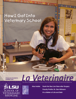 How I Got Into Veterinary School - LSU School Of Veterinary Medicine