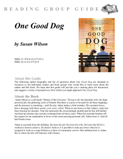 One Good Dog - Susan Wilson