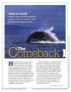 Lesson 26: The Comeback Humpbacks (1 of 4)